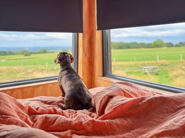 Dog friendly Polaris shack